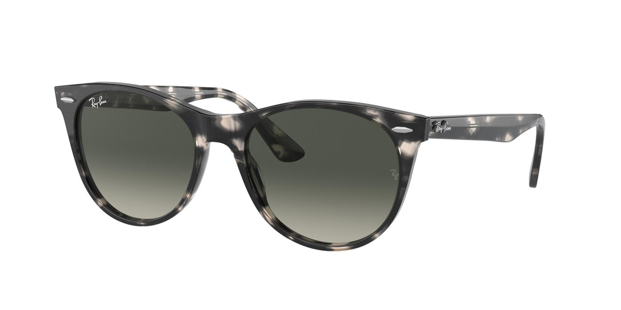 Ray-Ban Wayfarer Ii 2185 Sunglasses
