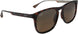 10 - Shiny Dark Havana With Trans Yellow - Hcl Bronze