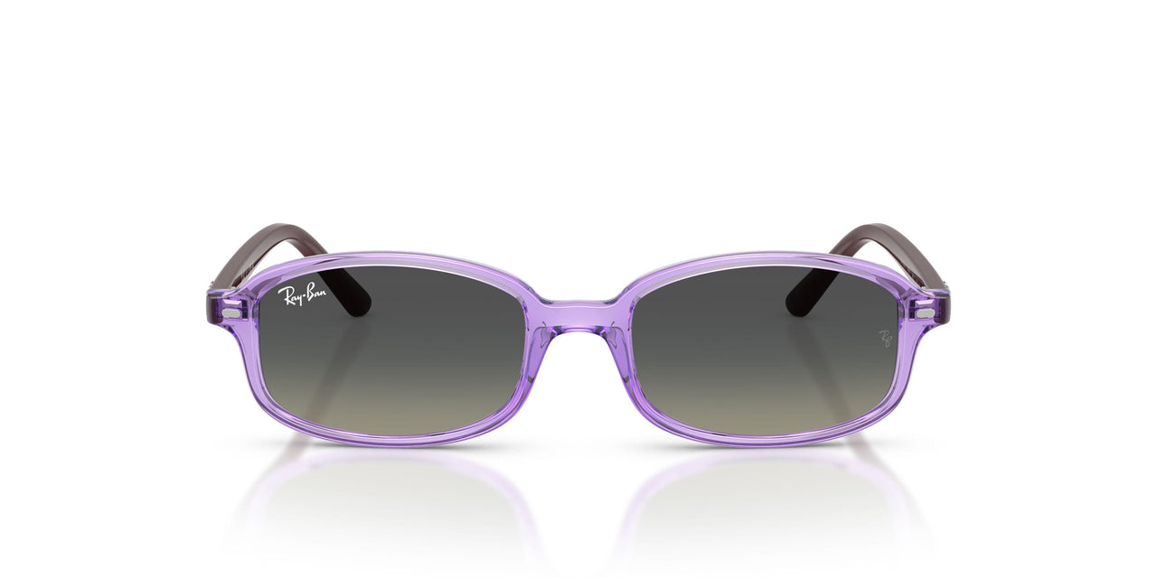 719911 - Violet - Gradient Grey