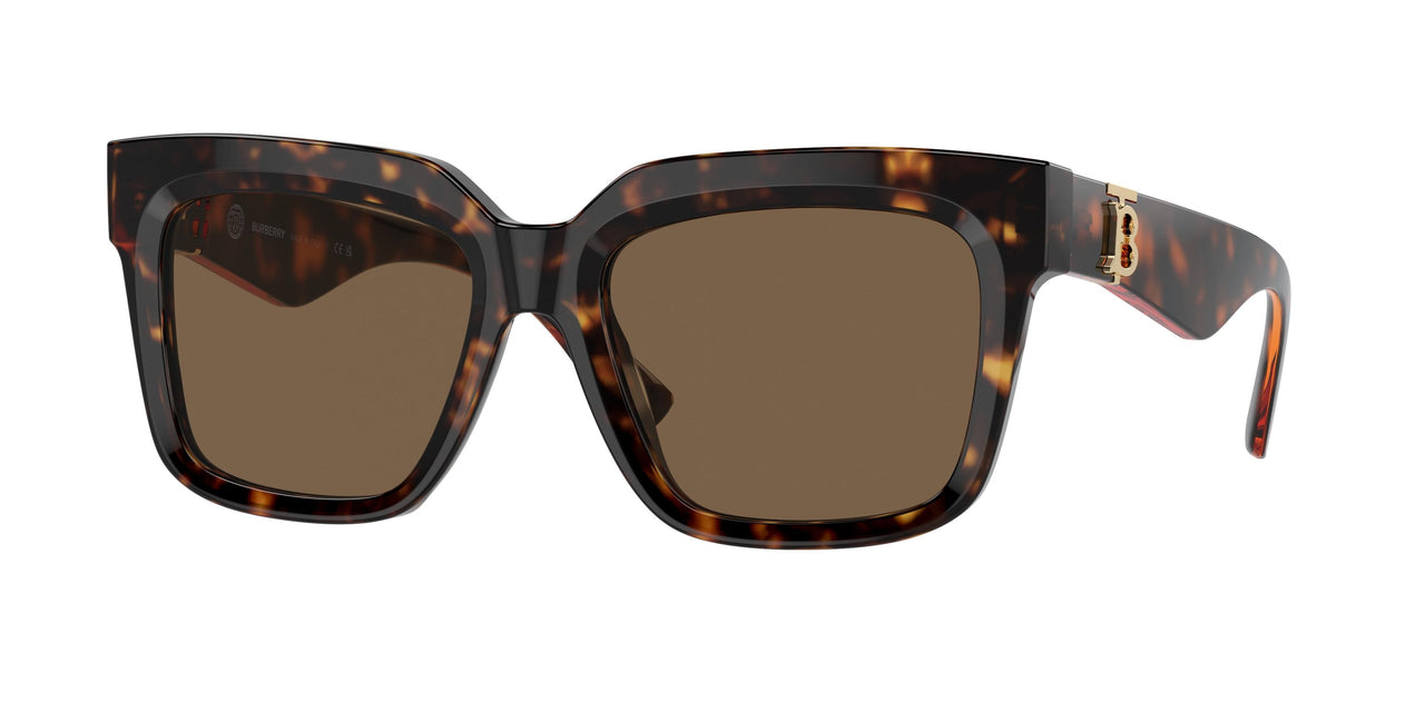 300273 - Brown - Dark Brown