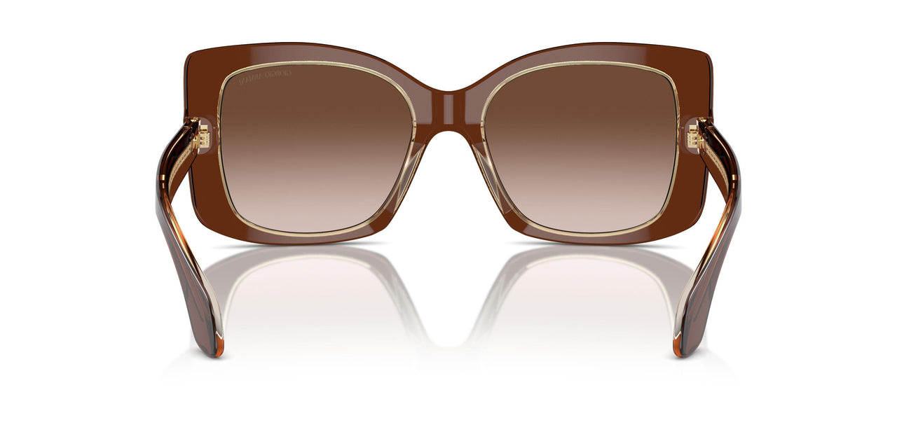 609013 - Brown - Brown Gradient