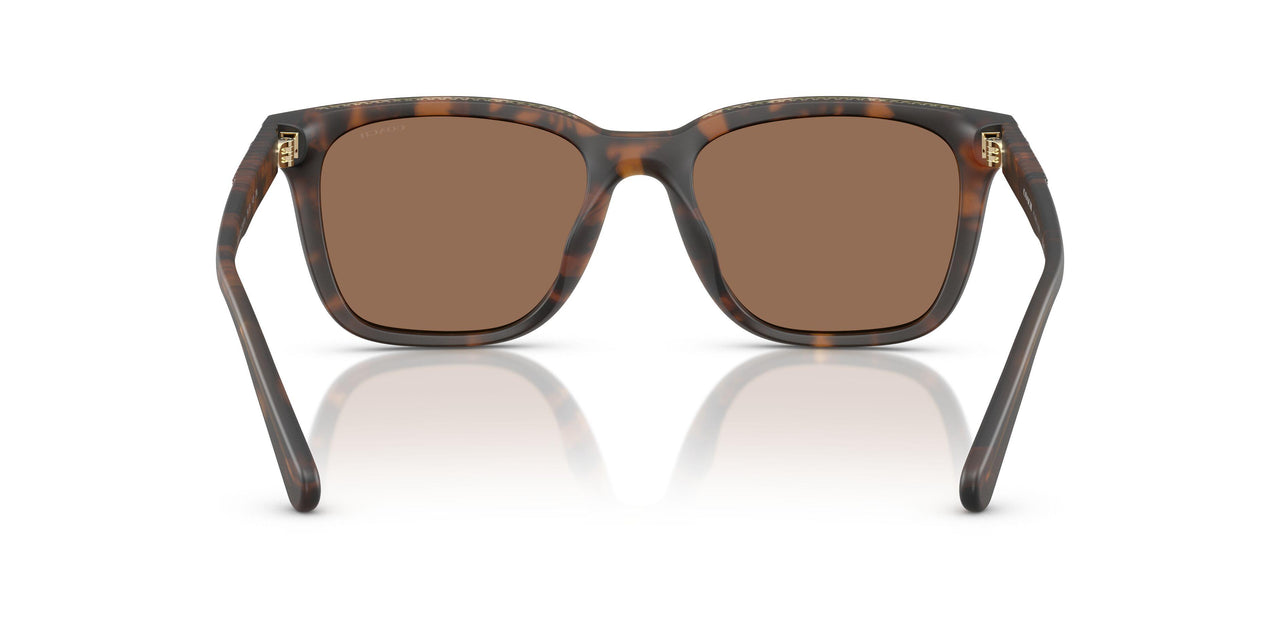 512073 - Tortoise - Brown Solid