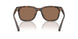 512073 - Tortoise - Brown Solid