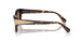 100273 - Brown - Dark Brown