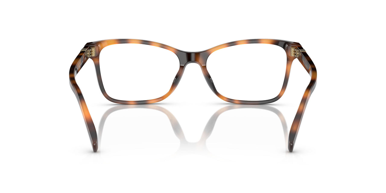 5303 - Tortoise