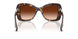 100274 - Tortoise - Gradient Brown