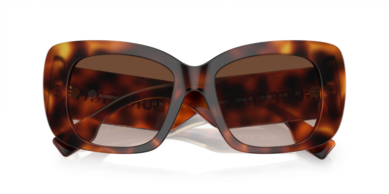 331613 - Tortoise - Brown Gradient