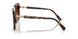 100274 - Tortoise - Brown Gradient