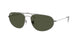Ray-Ban 3945 Sunglasses