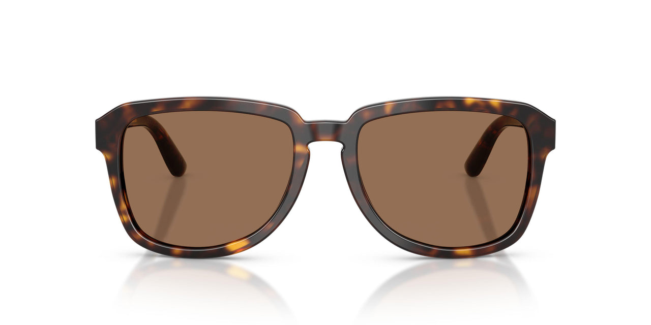 502/73 - Tortoise - Dark Brown