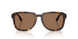 502/73 - Tortoise - Dark Brown