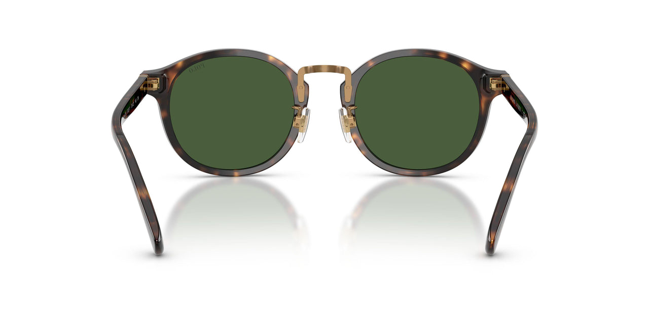 500371 - Tortoise - Bottle Green
