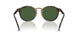 500371 - Tortoise - Bottle Green