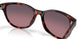 201209 - Tortoise - Rose Gradient