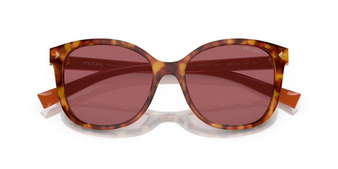 4BW08S - Tortoise - Dark Violet