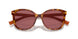 4BW08S - Tortoise - Dark Violet