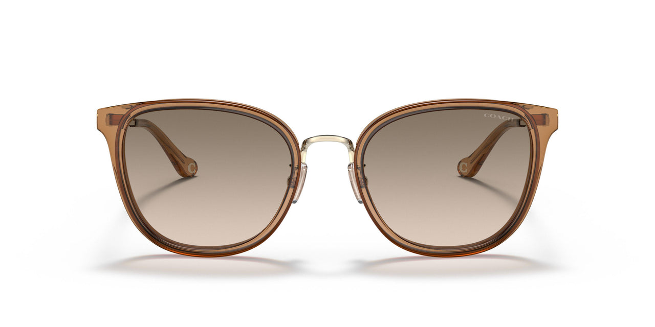 565413 - Brown - Light Brown Grey Gradient
