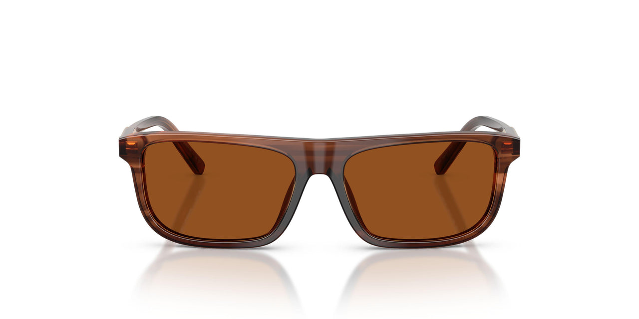 348173 - Brown - Dark Brown