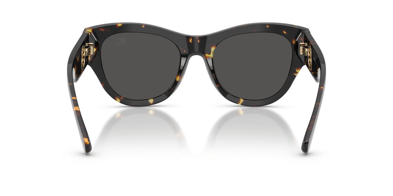 410687 - Tortoise - Dark Grey