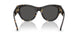 410687 - Tortoise - Dark Grey