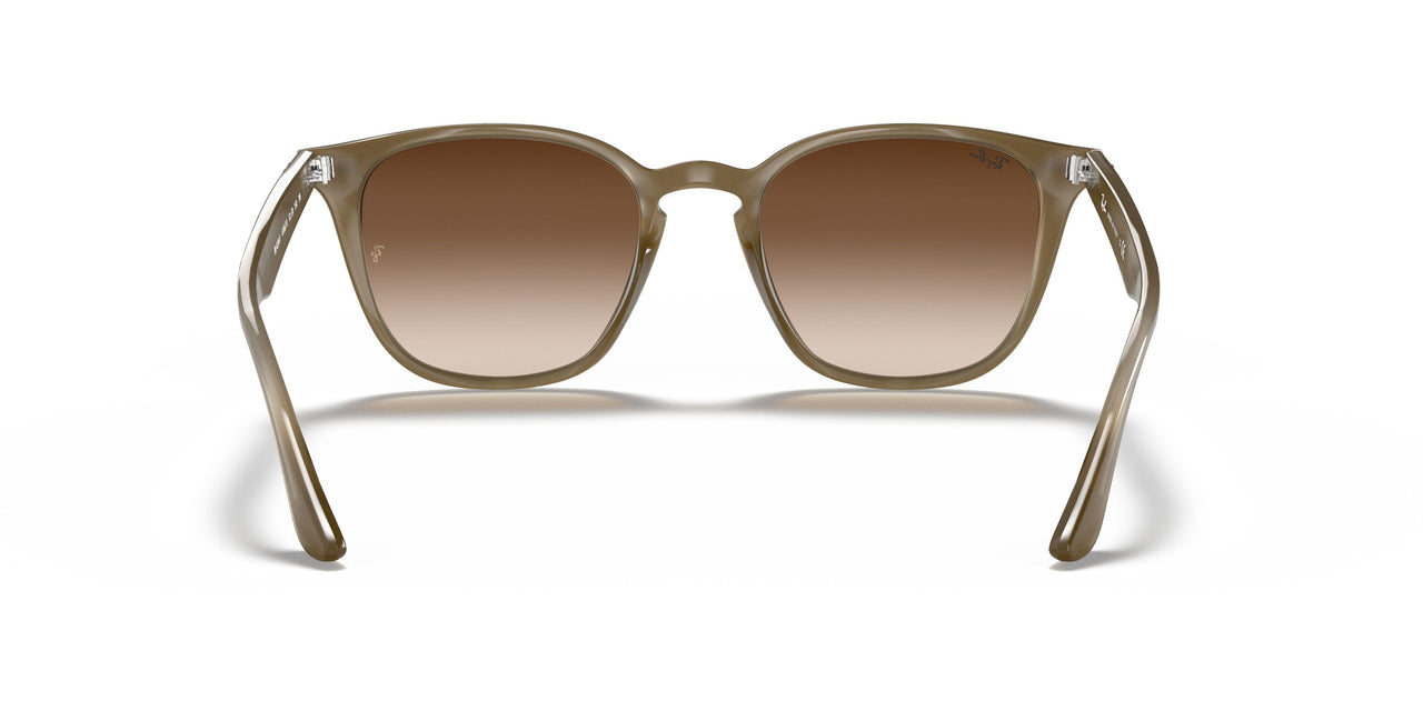 616613 - Light Brown - Brown Gradient