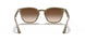 616613 - Light Brown - Brown Gradient