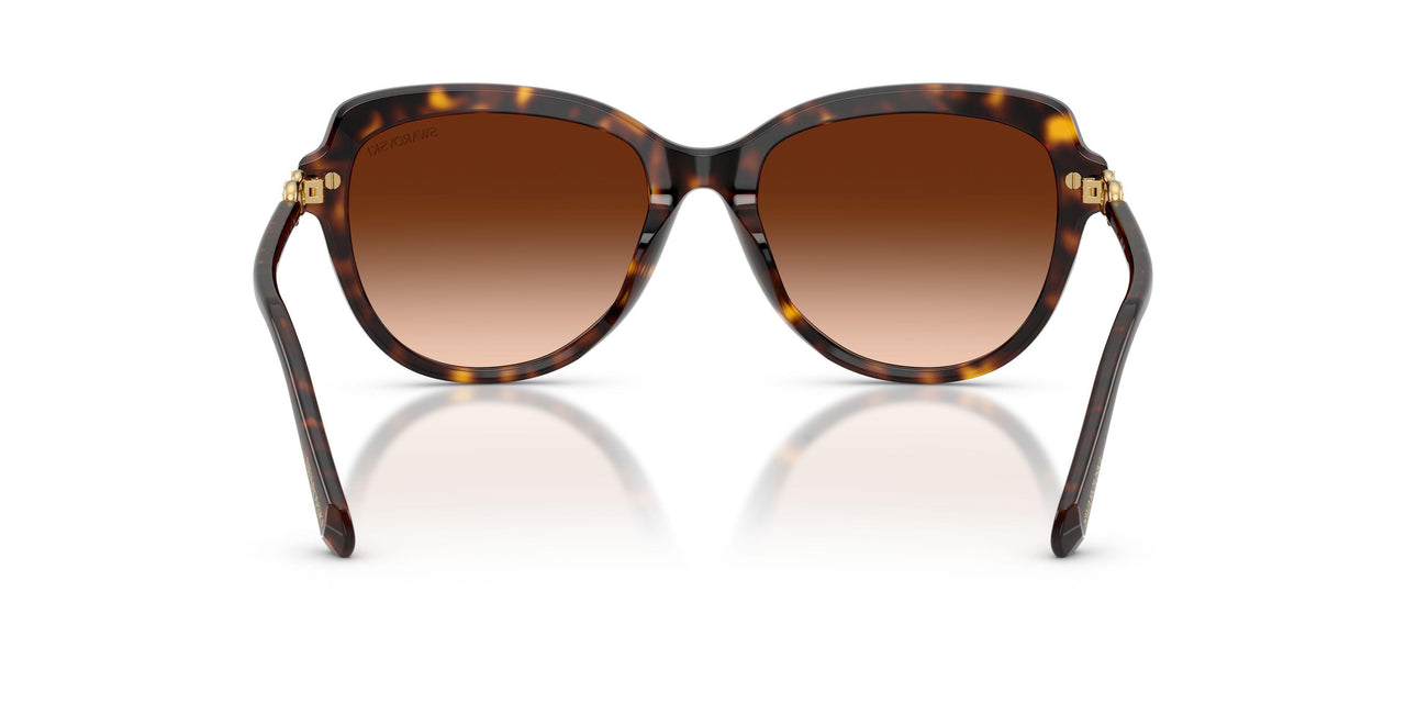 100274 - Tortoise - Gradient Brown