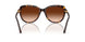 100274 - Tortoise - Gradient Brown