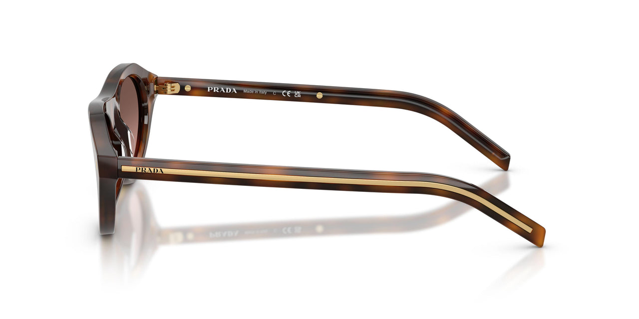 20D11C - Tortoise - Brown Gradient Grey