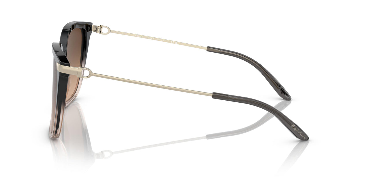 602274 - Black - Brown Gradient