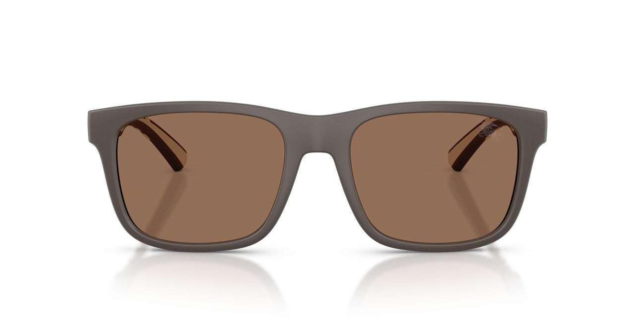 423473 - Brown - Dark Brown