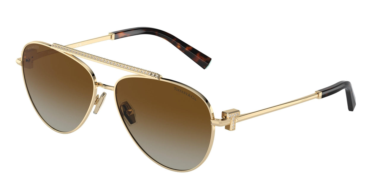 6208T5 - Gold - Polarized Brown Gradient