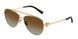 6208T5 - Gold - Polarized Brown Gradient