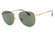 Hugo Boss BOSS1536_F_S Sunglasses