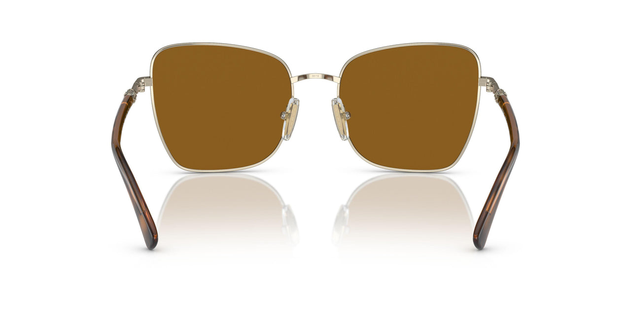 507883 - Havana - Polar Dark Brown