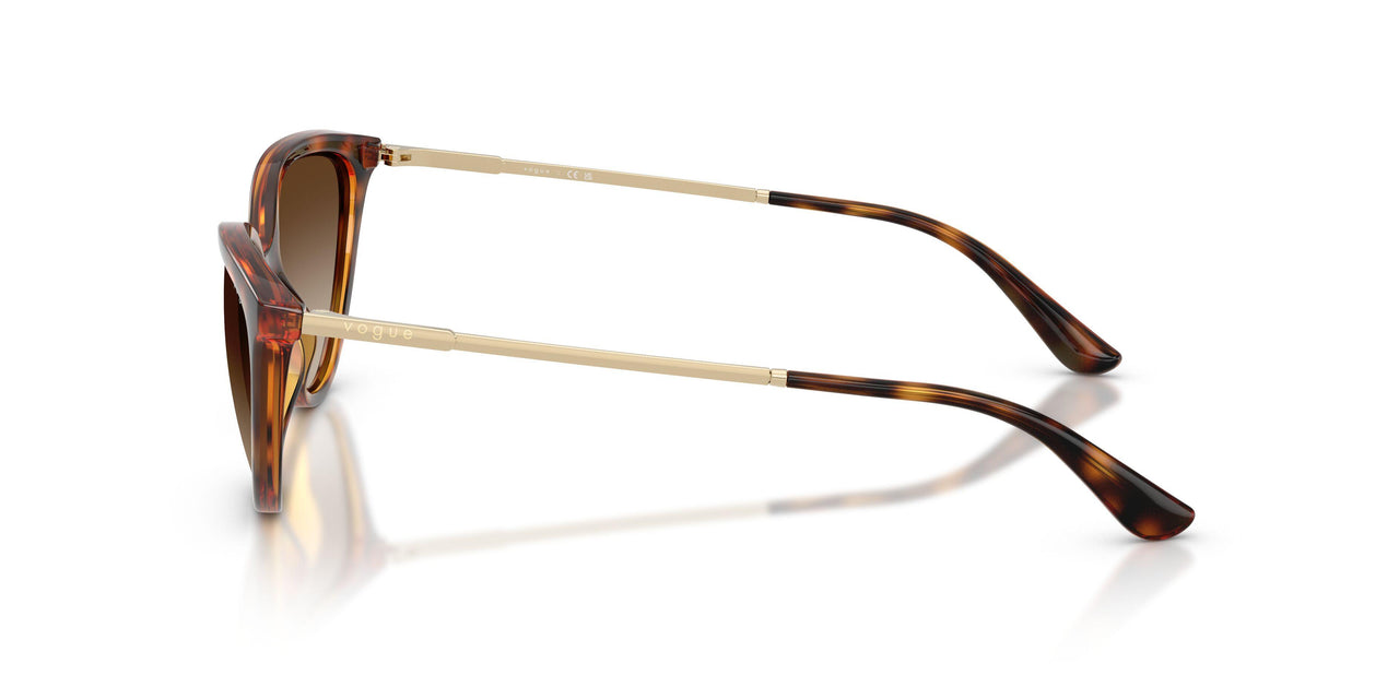 W65613 - Brown - Gradient Brown