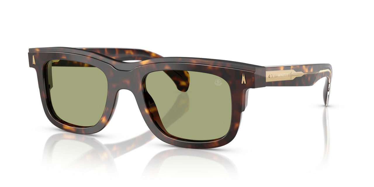 300282 - Tortoise - Green