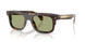 300282 - Tortoise - Green