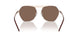 301173 - Gold - Dark Brown