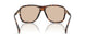 304893 - Tortoise - Gradient Brown