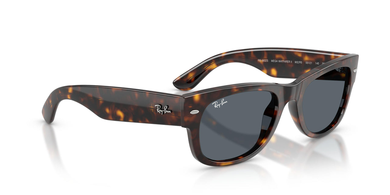 902/R5 - Tortoise - Blue