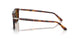 24/57 - Tortoise - Polar Brown