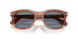 96/56 - Brown - Light Blue