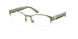 Polo 1238 Eyeglasses