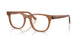 Ray-Ban 5461D Eyeglasses