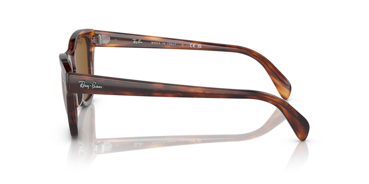 954/33 - Havana - Brown