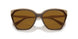 310183 - Brown - Dark Brown Polar