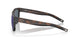 900809 - 191 Matte Tortoise - Blue Mirror 580p