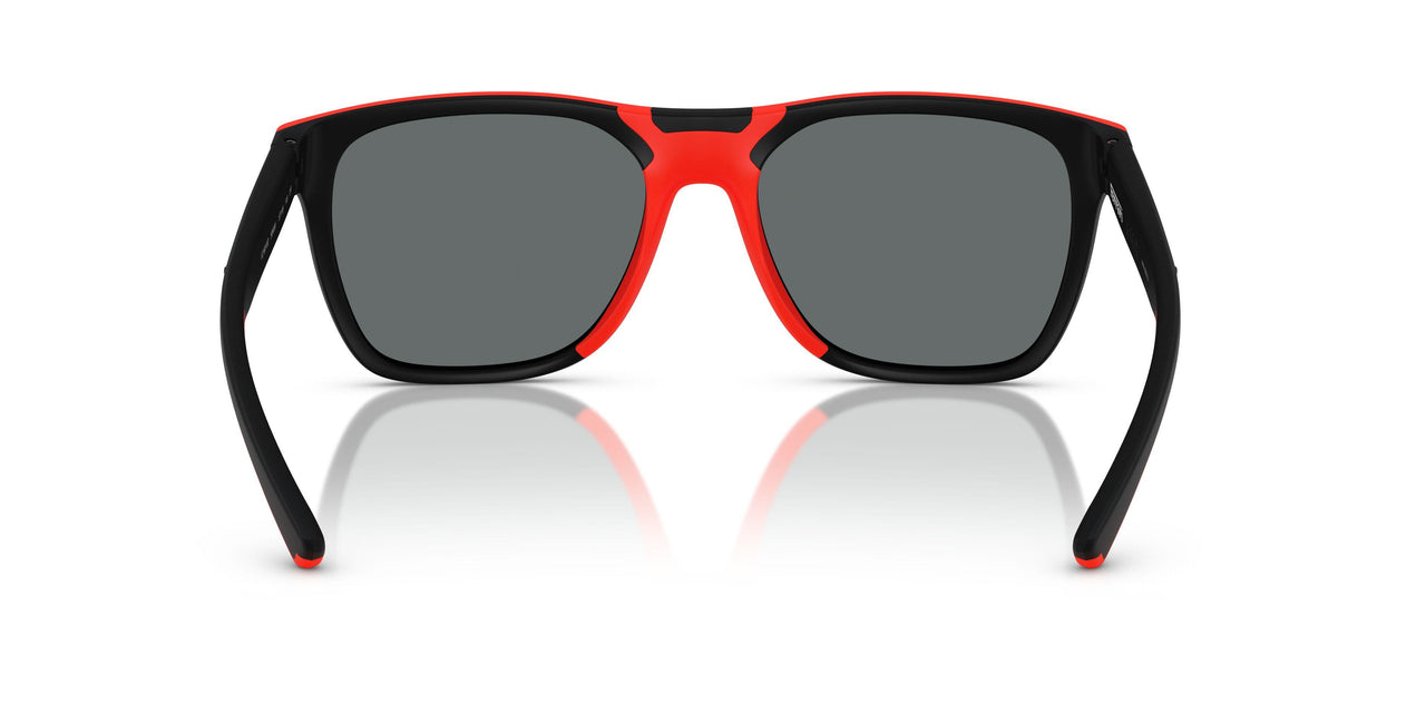 504/81 - Black - Grey Polar
