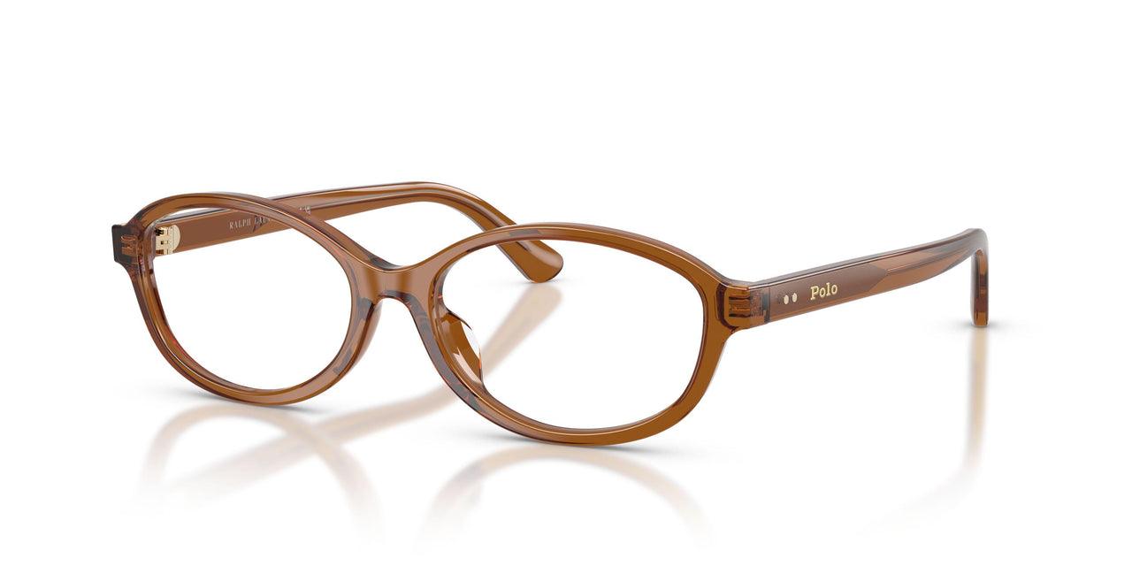 Polo 2311U Eyeglasses